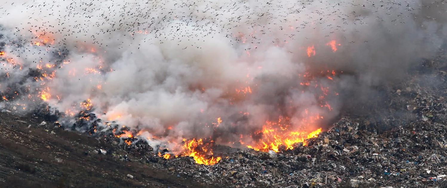 Сжигание мусора - фото 3